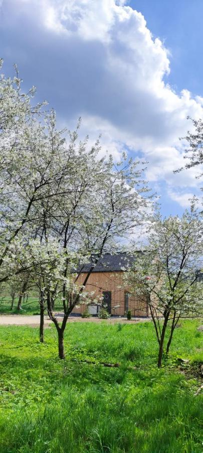 Gorskie Progi Ґоворув Екстер'єр фото